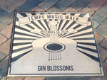 gin blossoms plaque web