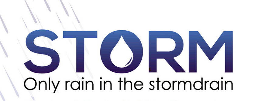 Regional STORM organization logo