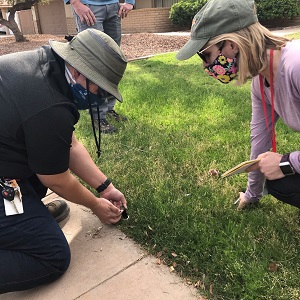 Water Consultation Specialist looking at sprinkler