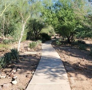 Xeriscape Garden NEW