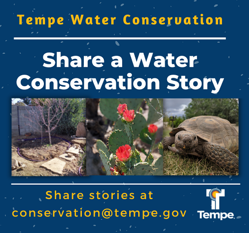 email conservation@tempe.gov to share your water conservation story