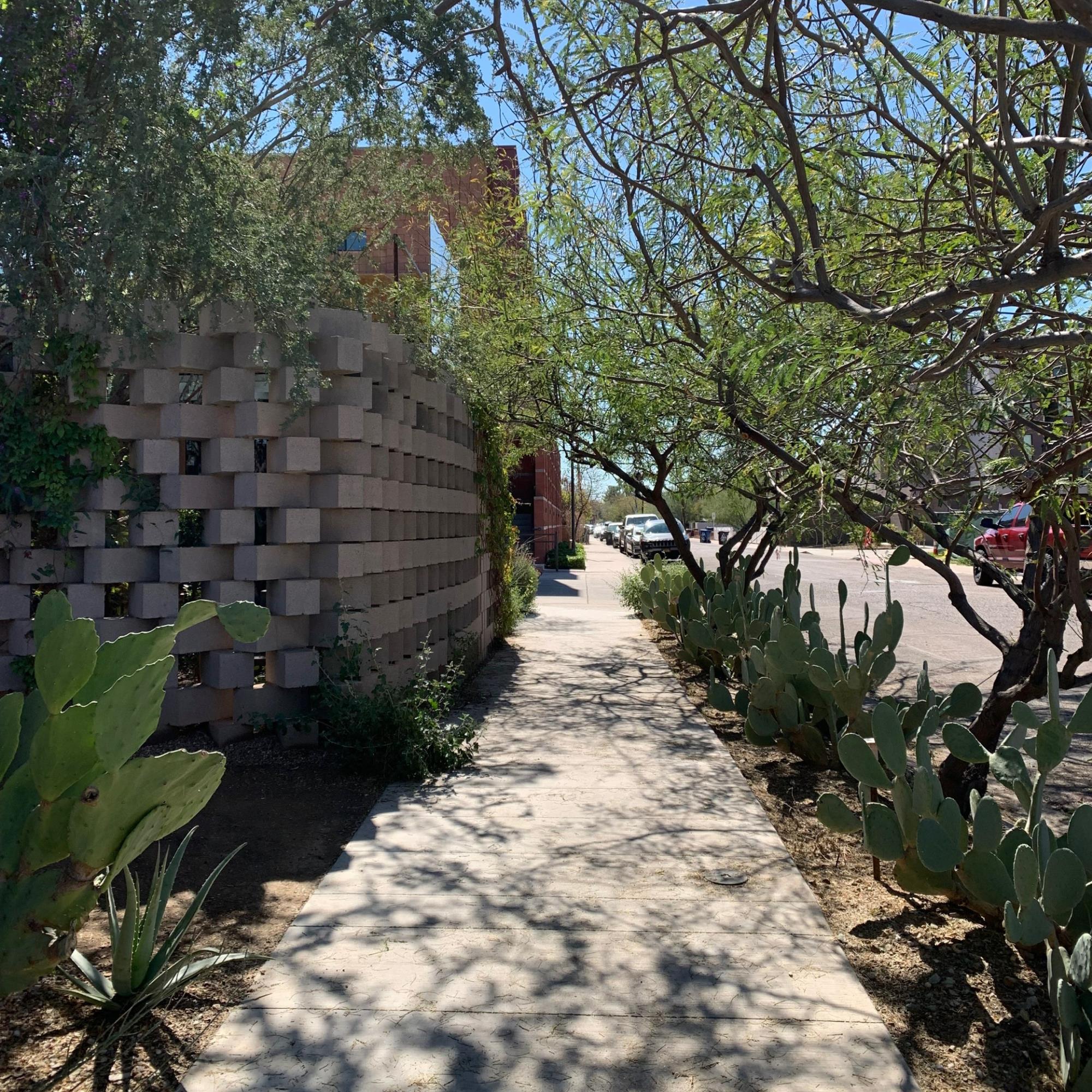 Desert Landscape around a Tempe business