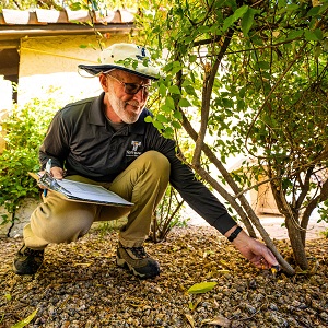 Drip Irrigation Image