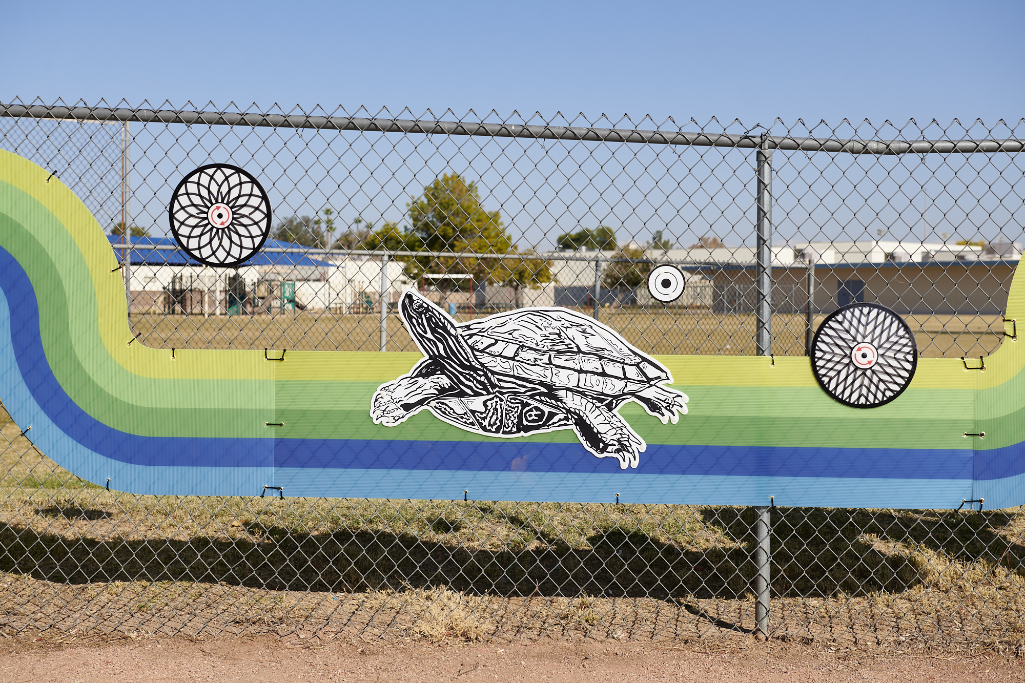 Close up image of colorful blue + green stripes and black + white turtle sketch