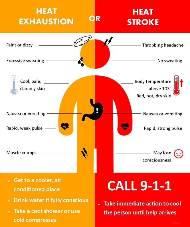 Heat Illness graphic