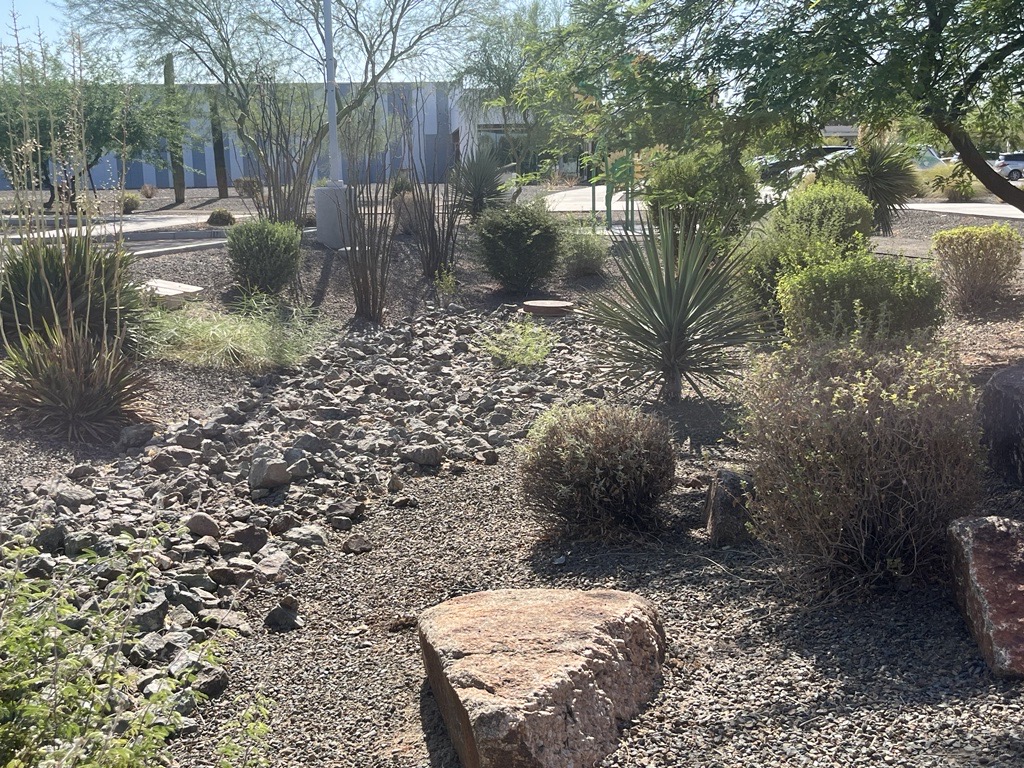 Bioretention area with bioswale (rocky depression designed to channel and slow stormwater runoff). 