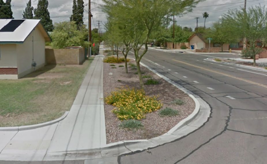 Curb extension with curb cut for water harvesting off of the street