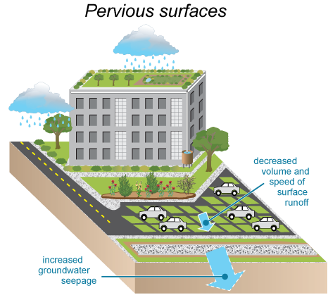 Image of a pervious surface -- "soft" surfaces like green roofs or rain gardens that decrease the volume of stormwater by soaking it into the surface medium.