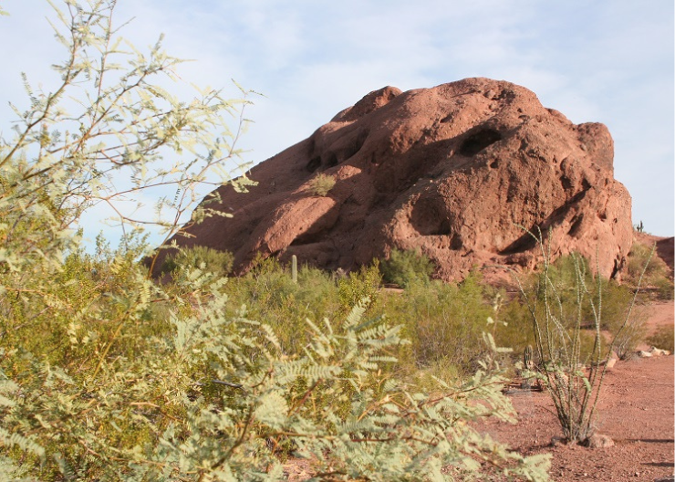 Papago Park Preserve