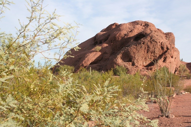 Papago Preserve