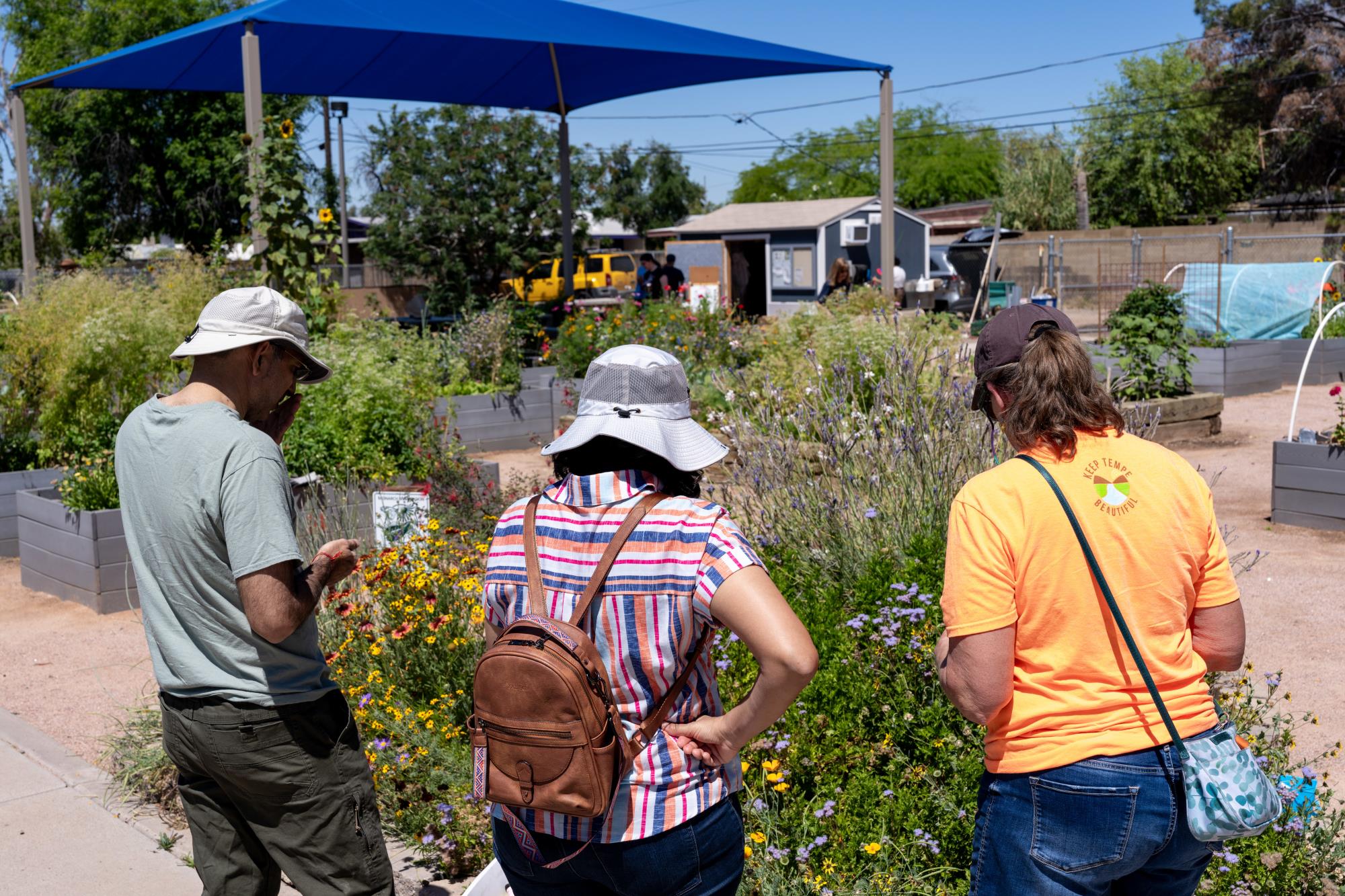 Image of three people from behind looking at flowers in the Clark Park Community Garden