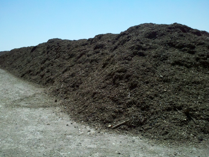 Compost Pile