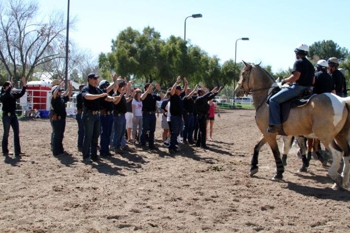 A crowd of people with hands waving in front of 4 PD horses during sensory training